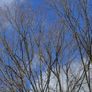 Meet your Posher, Sj